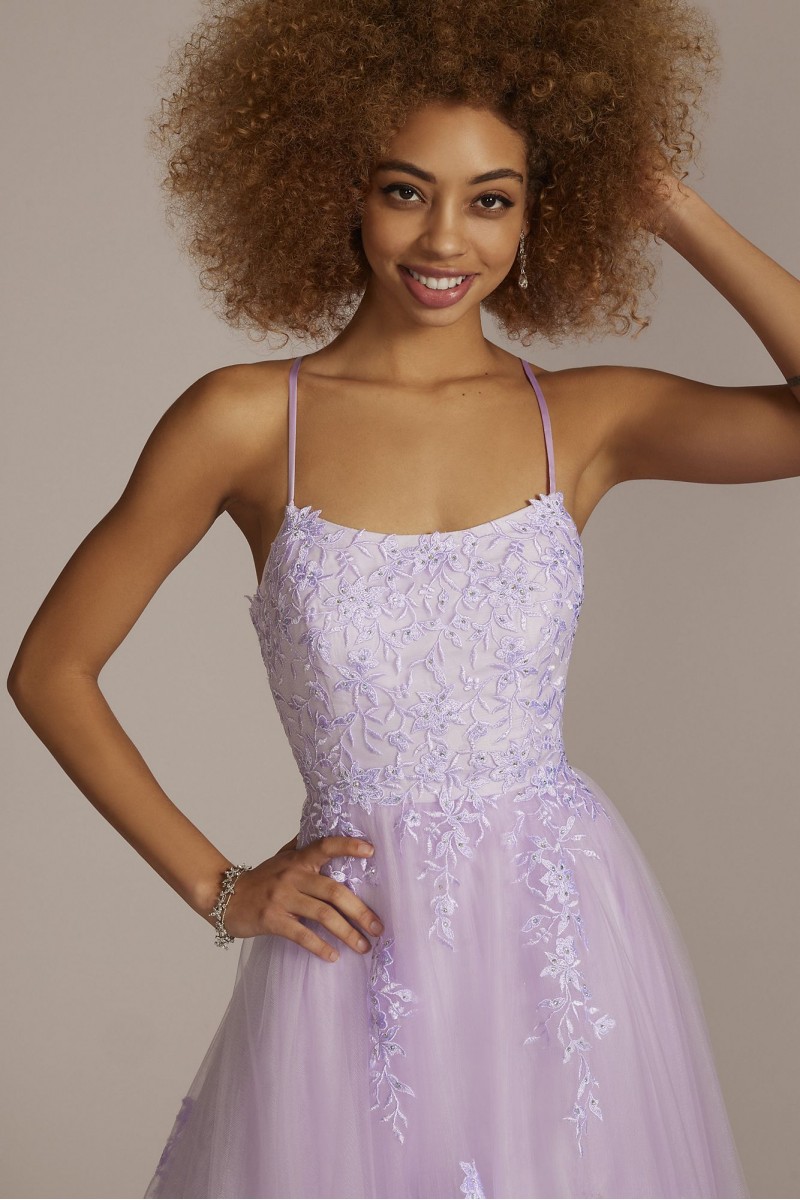 Embroidered Lace Tulle A-Line Dress ...